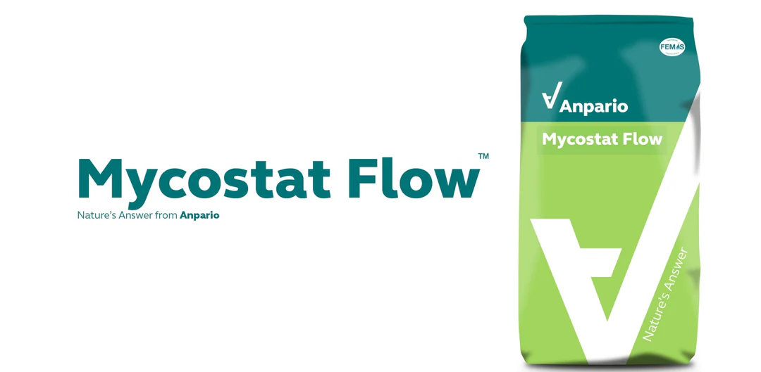 Mycostat - 25kg - مايكوستات 